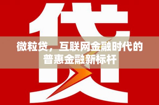 赫山微粒贷，互联网金融时代的普惠金融新标杆