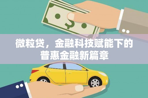大洼微粒贷，金融科技赋能下的普惠金融新篇章