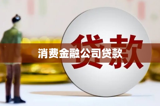 西和消费金融公司贷款