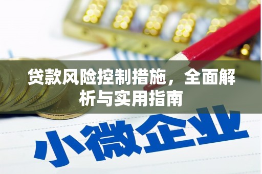 仙游贷款风险控制措施，全面解析与实用指南