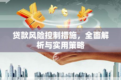 中正贷款风险控制措施，全面解析与实用策略