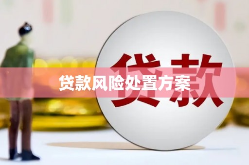 墨竹工卡贷款风险处置方案