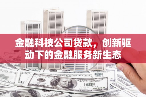 革吉金融科技公司贷款，创新驱动下的金融服务新生态