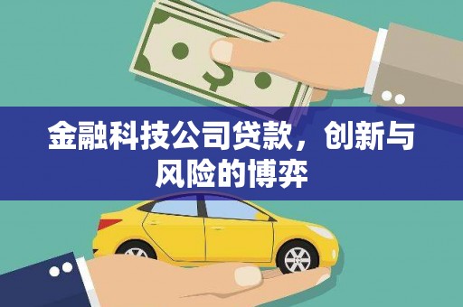 武进金融科技公司贷款，创新与风险的博弈