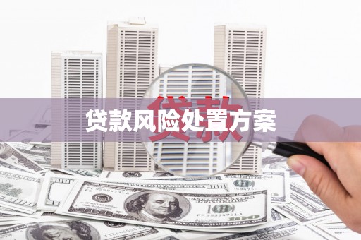 张店贷款风险处置方案