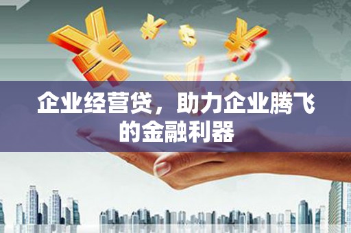 江东企业经营贷，助力企业腾飞的金融利器