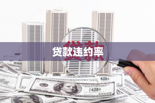 圣方济各堂区贷款违约率