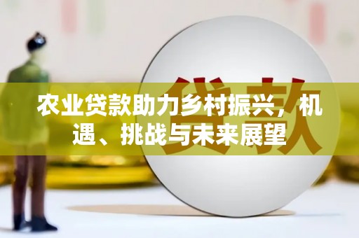 莎车农业贷款助力乡村振兴，机遇、挑战与未来展望