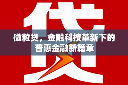 麦积微粒贷，金融科技革新下的普惠金融新篇章