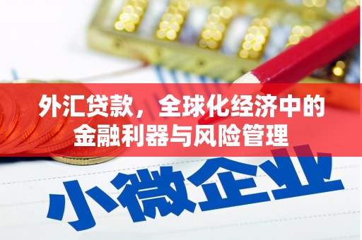 尖扎外汇贷款，全球化经济中的金融利器与风险管理