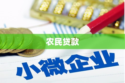 埌东农民贷款