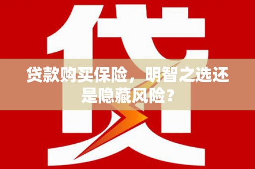 山阳贷款购买保险，明智之选还是隐藏风险？