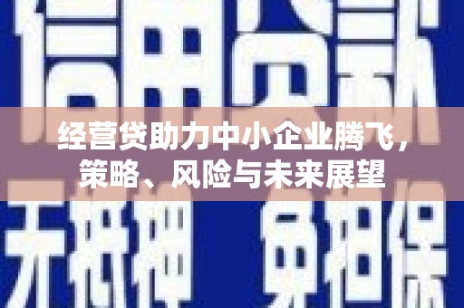 湘西经营贷助力中小企业腾飞，策略、风险与未来展望