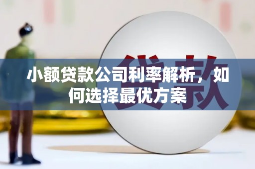 新建小额贷款公司利率解析，如何选择最优方案