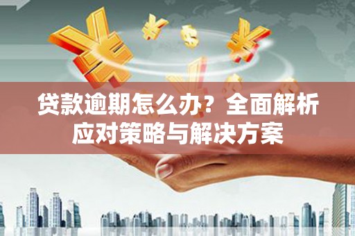 赵县贷款逾期怎么办？全面解析应对策略与解决方案