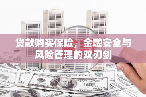 莱山贷款购买保险，金融安全与风险管理的双刃剑