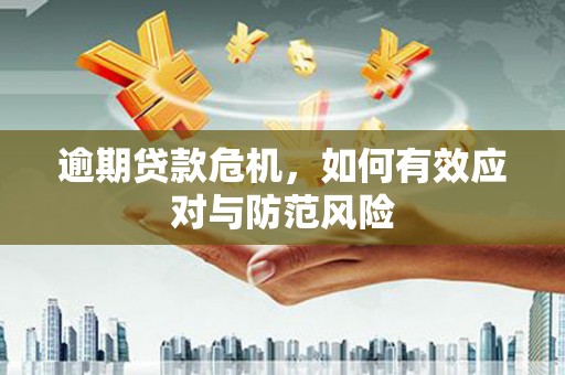 九原逾期贷款危机，如何有效应对与防范风险