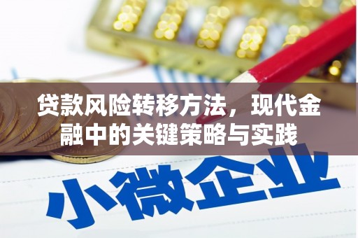 九原贷款风险转移方法，现代金融中的关键策略与实践