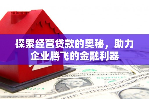 久治探索经营贷款的奥秘，助力企业腾飞的金融利器