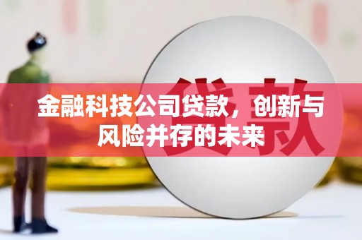 北仑金融科技公司贷款，创新与风险并存的未来