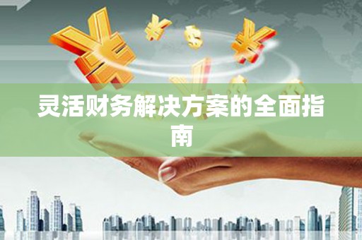 凤林灵活财务解决方案的全面指南