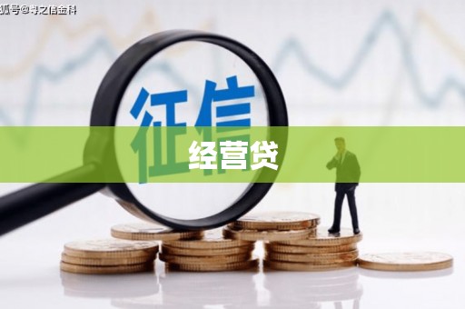 临渭经营贷