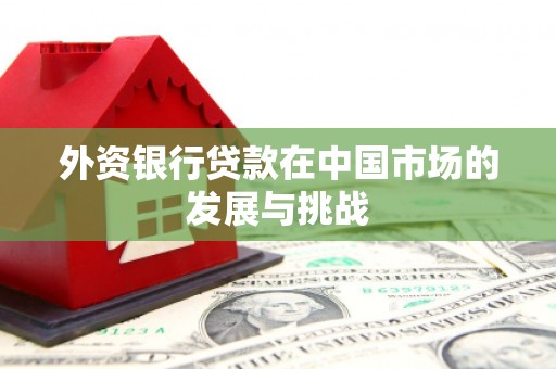 云霄外资银行贷款在中国市场的发展与挑战