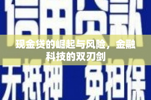 美兰现金贷的崛起与风险，金融科技的双刃剑