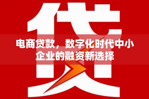 大渡口电商贷款，数字化时代中小企业的融资新选择