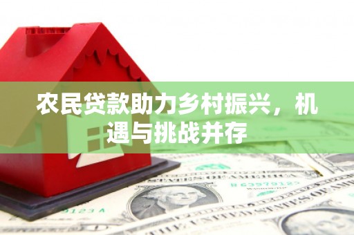 户县农民贷款助力乡村振兴，机遇与挑战并存