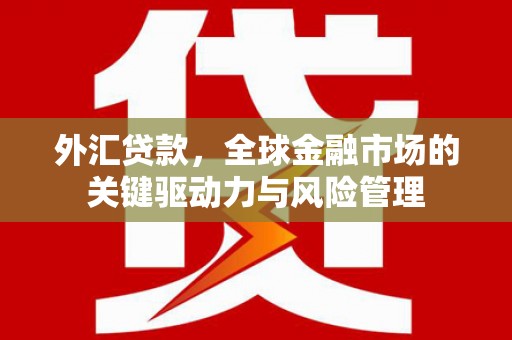 阜康外汇贷款，全球金融市场的关键驱动力与风险管理