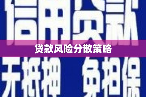 苑里贷款风险分散策略