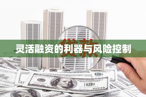 板桥灵活融资的利器与风险控制