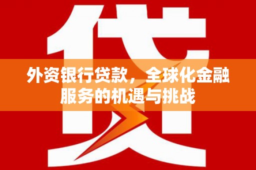 沂源外资银行贷款，全球化金融服务的机遇与挑战
