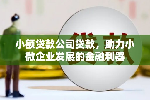 灵石小额贷款公司贷款，助力小微企业发展的金融利器