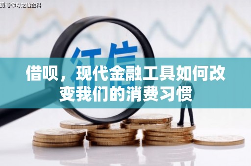 乐亭借呗，现代金融工具如何改变我们的消费习惯