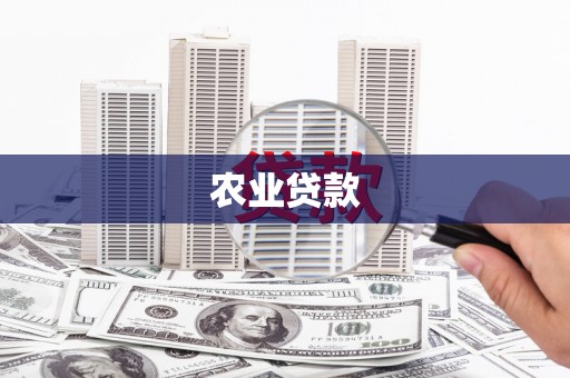 尚义农业贷款