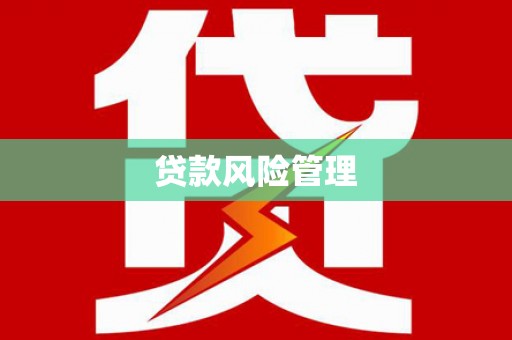 贵定贷款风险管理