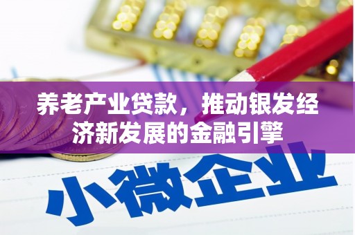 班戈养老产业贷款，推动银发经济新发展的金融引擎