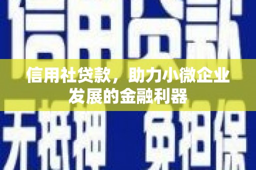 泰来信用社贷款，助力小微企业发展的金融利器