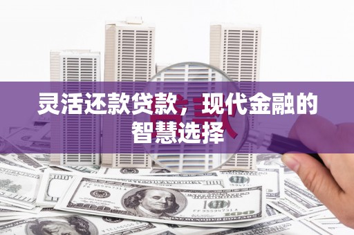 蒙阴灵活还款贷款，现代金融的智慧选择