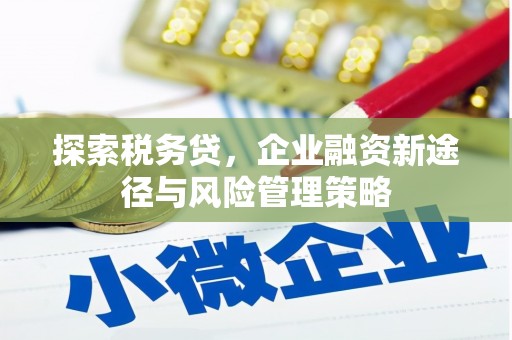 防城港探索税务贷，企业融资新途径与风险管理策略