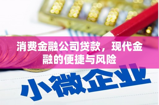 金溪消费金融公司贷款，现代金融的便捷与风险