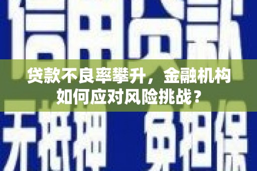 头份贷款不良率攀升，金融机构如何应对风险挑战？