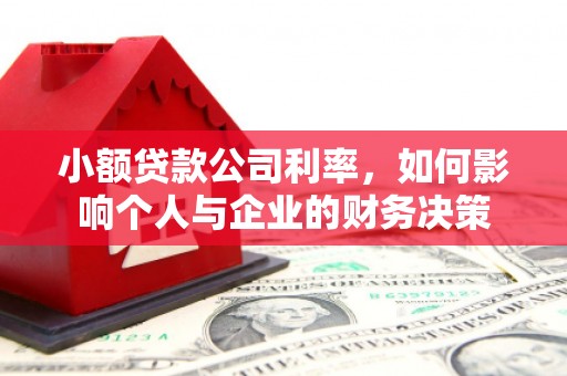 山上小额贷款公司利率，如何影响个人与企业的财务决策