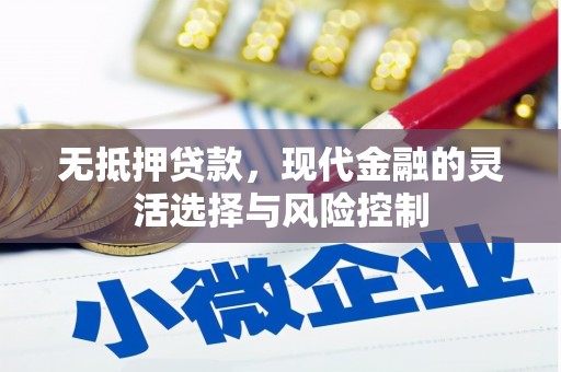 玉州无抵押贷款，现代金融的灵活选择与风险控制