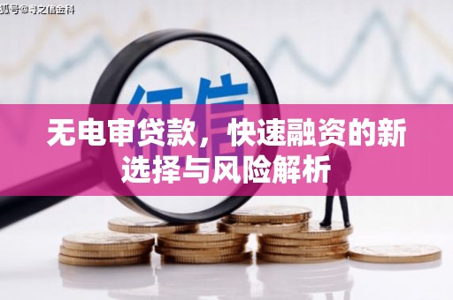 漳县无电审贷款，快速融资的新选择与风险解析