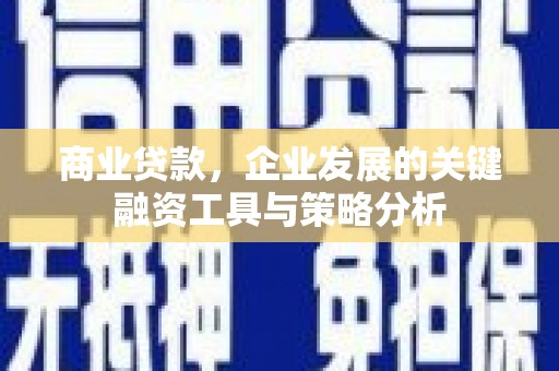 定陶商业贷款，企业发展的关键融资工具与策略分析
