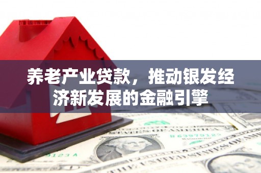丹徒养老产业贷款，推动银发经济新发展的金融引擎
