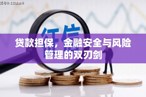 武安贷款担保，金融安全与风险管理的双刃剑